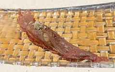 肉寿司1貫