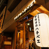 名古屋の魚が旨い店 サカナのハチベエ 名駅4丁目店の雰囲気3