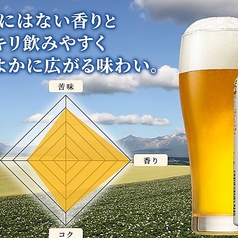 ソラチ1984 250ml