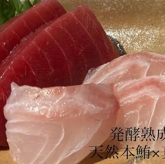 サカナノウタのコース写真