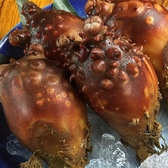 網玄のおすすめ料理2