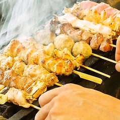 ～豊田駅で唯一炭火焼きにこだわった焼鳥テイクアウト～