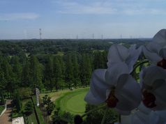 あまの川の写真3