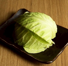 キャベツ