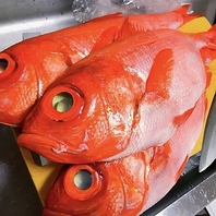 元魚屋の目利きが光る！旬の鮮魚と種類豊富なお酒