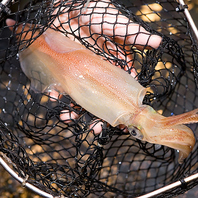 店内には生け簀を完備！