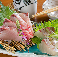 夢酒場 魚昇本店 知立特集写真1