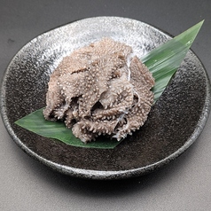センマイ