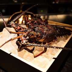 銀座 侍のおすすめポイント1