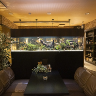 水槽と酒に癒される贅沢時間