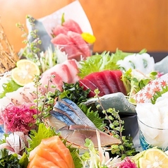 コトブキヤ 溝の口店のコース写真