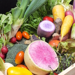 毎日仕入れているから旬の新鮮な野菜をご堪能いただくことが可能です。変わった野菜と出会えるかも？