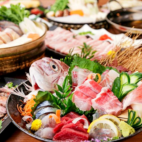 【刈谷駅から徒歩１分の好立地】～日本酒と鮮魚を愉しむ飲み放題のある刈谷の名店～