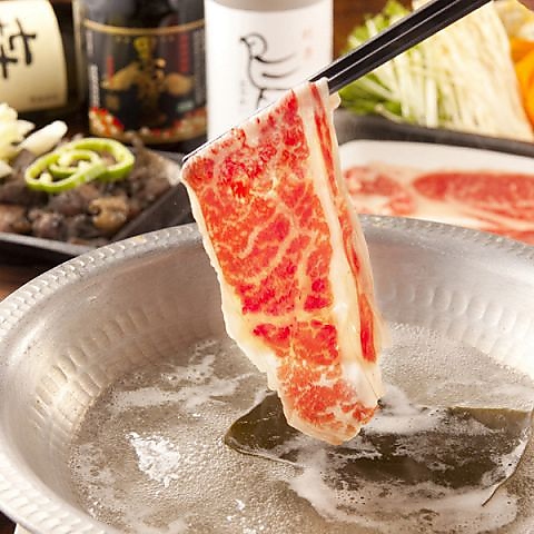 ���؉� �{�����