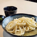 料理メニュー写真&nbsp;【冷たいうどん】ざるうどん