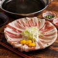 料理メニュー写真 黄金出汁で味わう黒豚しゃぶ