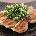 料理メニュー写真&nbsp;一口にら餃子