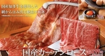網の上からはみ出るほど大きな、カーテンロース！