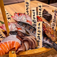 大衆居酒屋 明洞 ミョンドンの特集写真