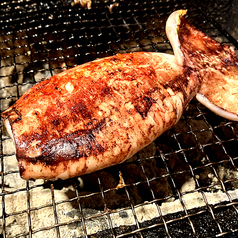 【おすすめ】烏賊姿焼き