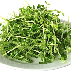 豆苗炒め