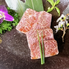 牛皇の特集写真