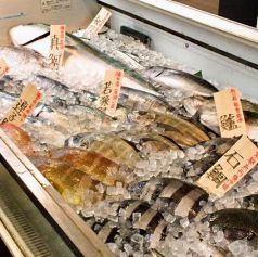 活きの良い天然北陸鮮魚を是非！