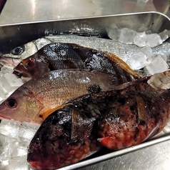 厳選素材をご用意しております。