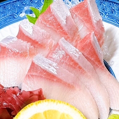 寒ぶり刺身