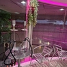 Shisha Lounge 1moku mock 木屋町店のおすすめポイント1