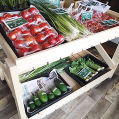 不定期開催【野菜と苗の直売会】