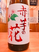 赤芋の花　（芋焼酎）