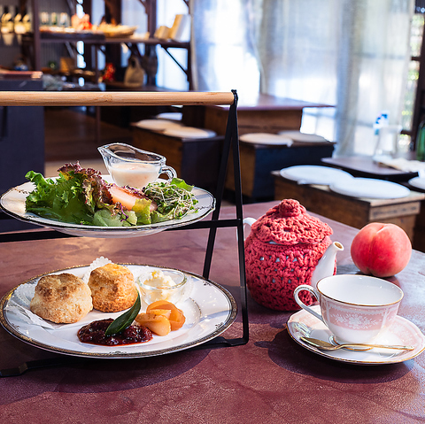 福島百合　椿 椿 ツバキ 4号 福島百合［こだわりの前田ナーセリー苗］｜花木04-PA