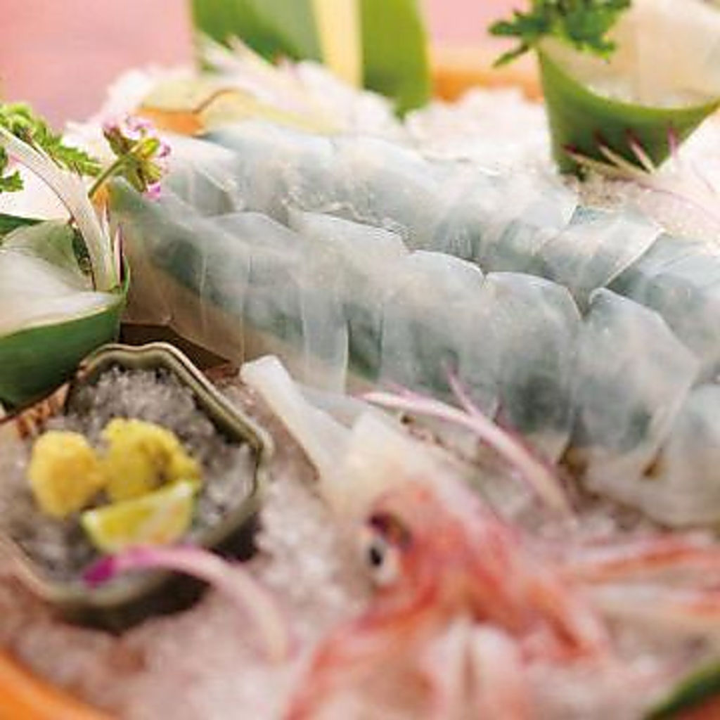 大阪初上陸！泳ぎイカと高知の藁焼きカツオのタタキが楽しめるお店♪