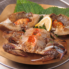 青松 チョンソル 新大久保(新大久保/韓国料理)＜ネット予約可