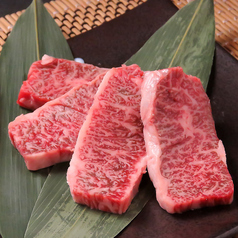 肉卸直営 豊橋焼肉 とよはしホルモン 幸店特集写真1