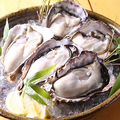 料理メニュー写真 【牡蠣】生牡蠣 ★ その時期一番美味しい産地から仕入れてます