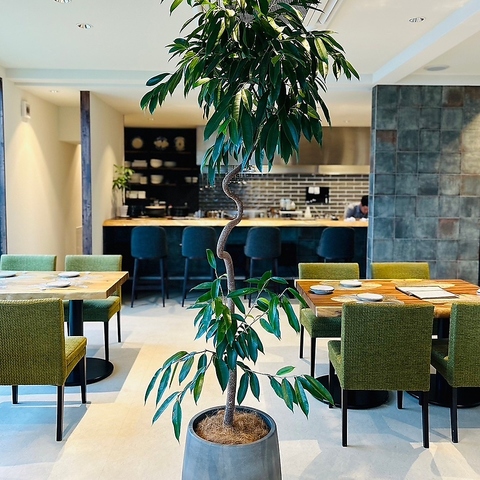 Cӂ̃V[t[hXg@JIGORO@Ocean