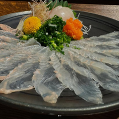 活〆ひらめ薄造り