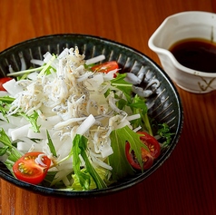 やみつきしらすパリ大根サラダ