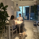 DOG LEG FARM ドッグレッグファームの雰囲気3