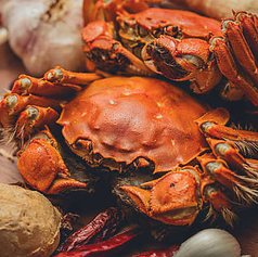 上海食苑 本店のコース写真