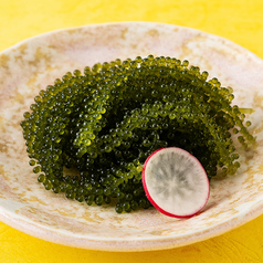 海ぶどう