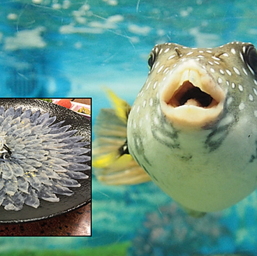 日本料理くらよしのおすすめ料理1