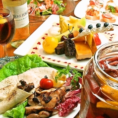 Seed シード特集写真1