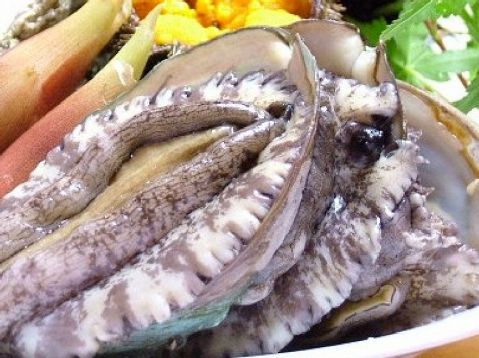 魚のもり 朝日 桑野 開成 和食 ホットペッパーグルメ