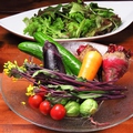 料理メニュー写真 12品目のオーガニック野菜のしゃきしゃきサラダ