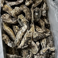 宮城県三陸から直送。新鮮で濃厚な旨みが広がる牡蠣
