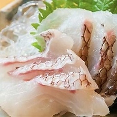活〆かんぱち/活〆たい