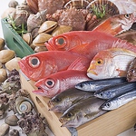 毎日、提携漁港から直送される鮮度抜群☆朝〆旬魚盛り合わせ♪お好みでもご対応いたします。